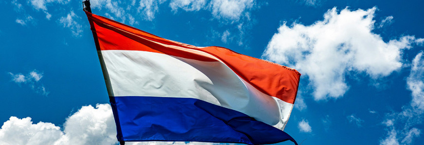 From boots to bytes: a strategic shift in the Dutch military